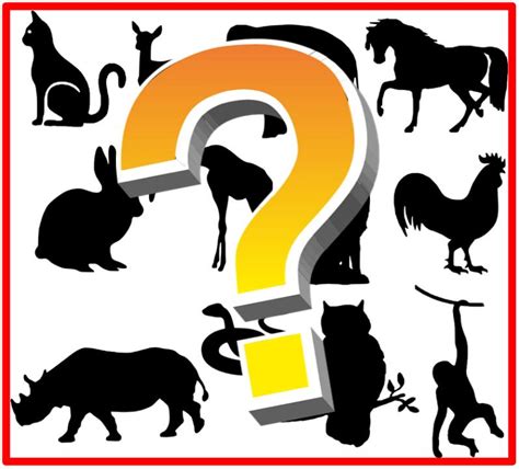 mystery animal.